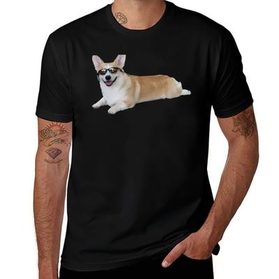Üst giysisi – T-shirtler