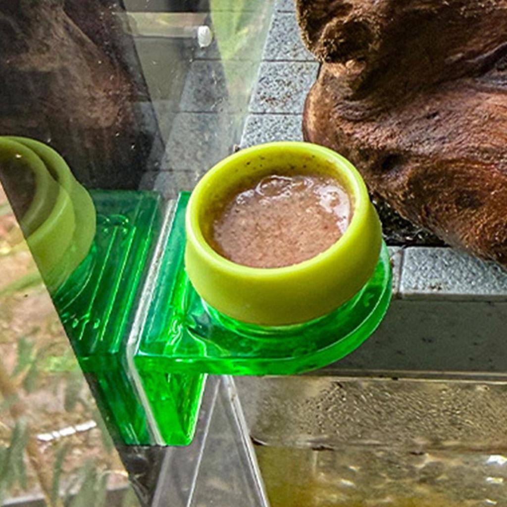 Klebende Rückseite Reptilien Futter Napf Mehrzweck Terrarium Schüssel für Kronengecko Leopard Gecko, Amphibien Futter & Wassernapf