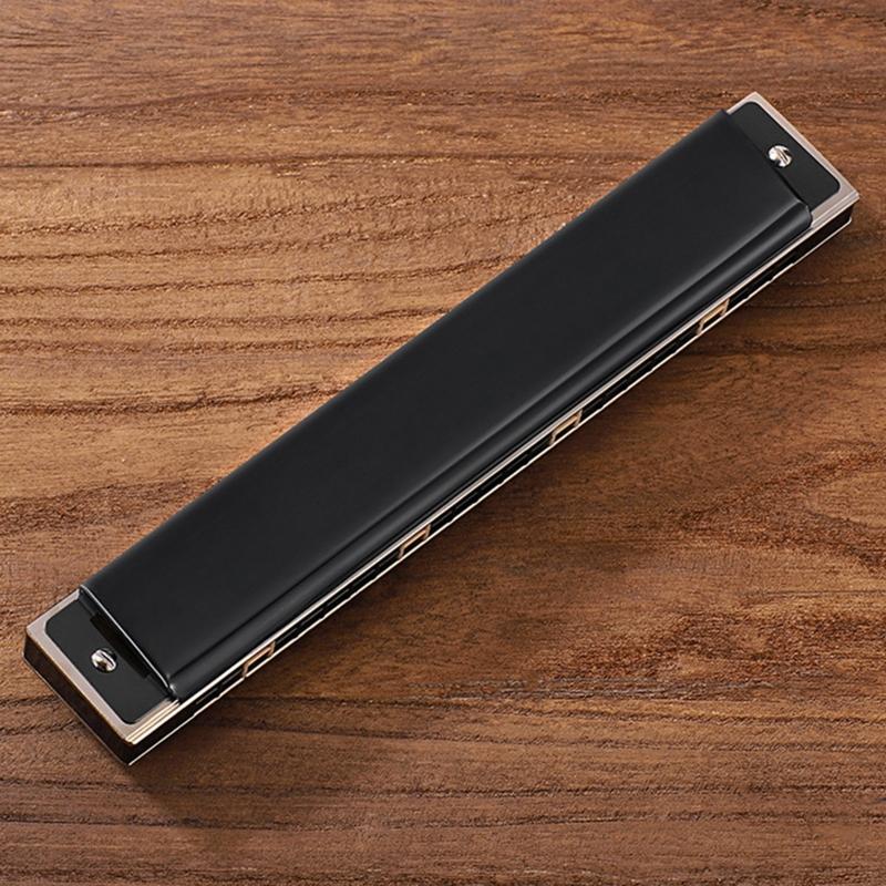 24-Hole Professional Harmonica for Beginner, Diatonic Double Tremolo Harmonica Fit for Adults Music Student Teacher Gift