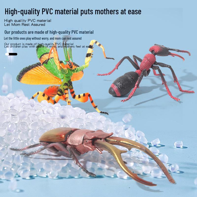 Children's Cross-Border Animal Beetle Model - Realistic Solid Plastic Insect Toy