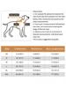 Dog Halloween Costume, Holiday Dog Clothes for Small Dogs , Funny Pet Pumpkin Spider Hoodie, Cat Bone Outfit