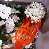 High-altitude Picking Bayberry Tool Picking Fruit  Catcher Portable Fruit Picker  Garden Tool