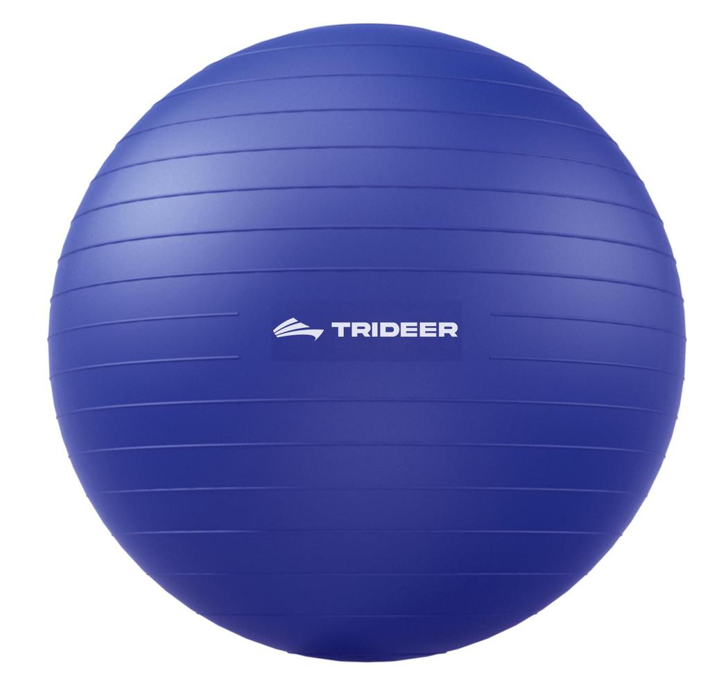 Trideer Exercise Ball Extra Thick Yoga Ball Stability Supports Up To 2200 Maternity Ball with Quick Pump Home Large (45-85cm), Chair, Heavy-Duty Ball,