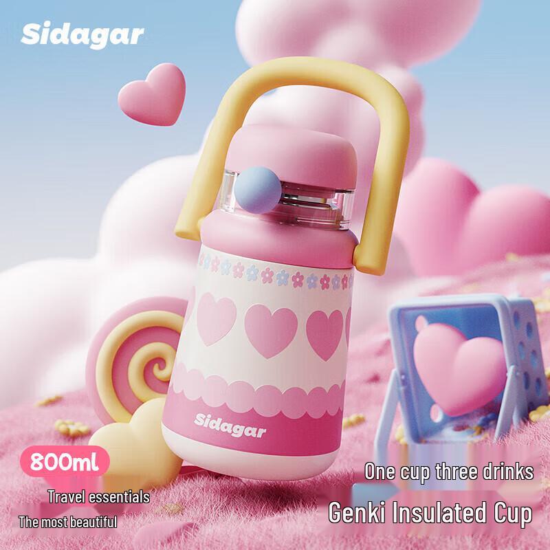 Shidajia Vitality 800ml Insulated Water Bottle