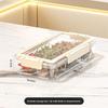 Food Storage Box With Sealed Lid For Kitchen Use Large Capacity Pet Material