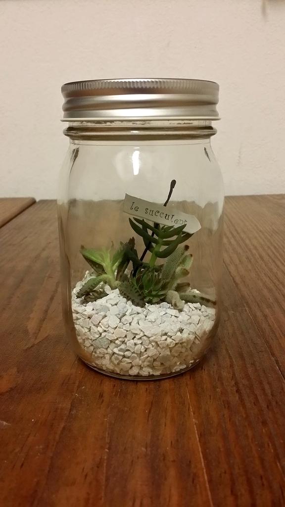 ADERIA Silver Cap Storage Set of Made in These glass storage containers are ideal for storing coffee and other Bottles, 450ml, 6, Japan, M6579.