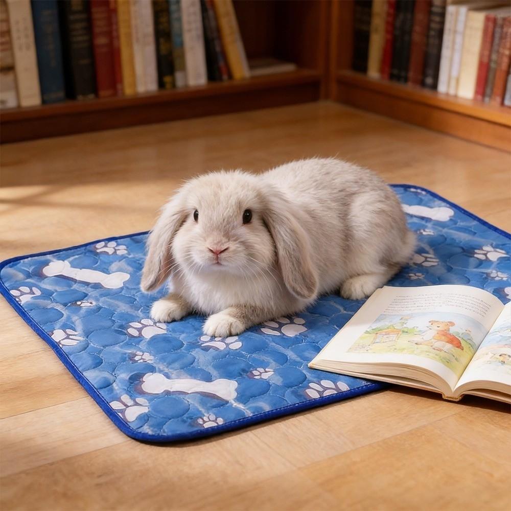 Foldable Pet Cooling Mat Washable Dog Sleeping Bed Home Pet Supply Pet Sleep Mat Dogs Cats Pets