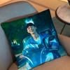 Park Jihoon Weak Hero Class Choi Hyun Wook Pillow Case Sofa Living Room Bedroom Headboard Backrest Cushion Square Cushion Nap