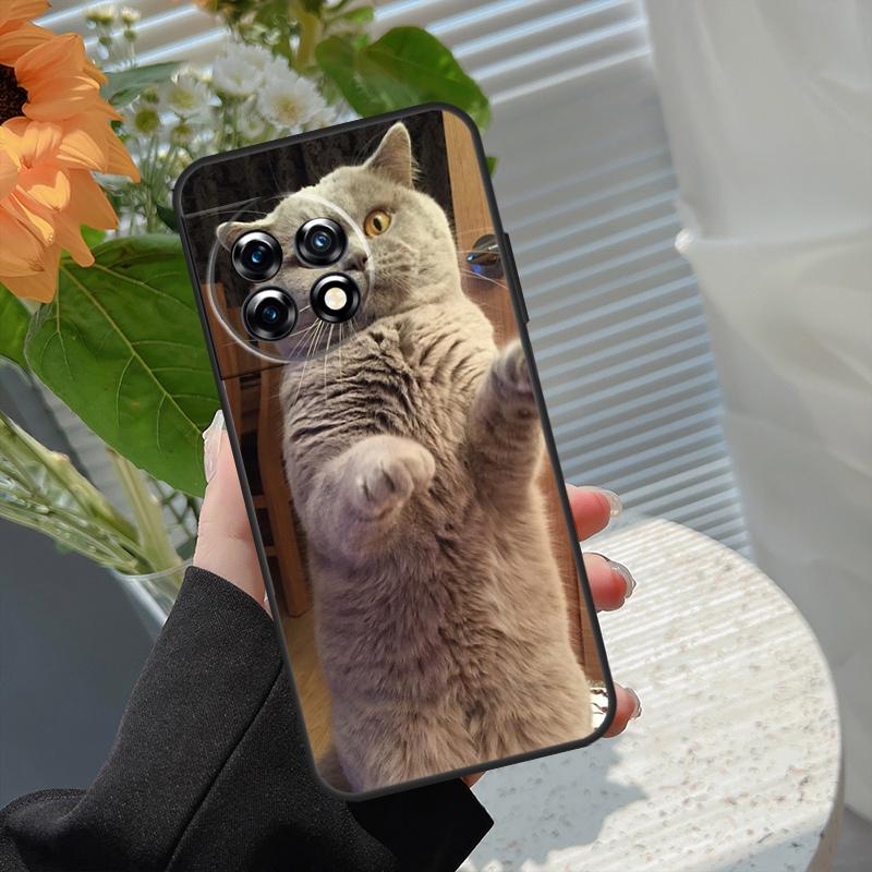 British Shorthair Cat Case For OnePlus 15R 15 13R 12R 10R 13 13T 12 11 10 10T 8T Nord CE 5 2 3 4 Lite N20 N30 Cover