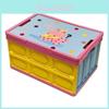 Dopamine Foldable Storage Box With Cat Pattern For Outdoor And Home Organization