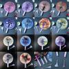 with Tassel Chinese-Style Shell Fan Magnetic Plastic Handle Retro Handheld Fan  Home Decoration