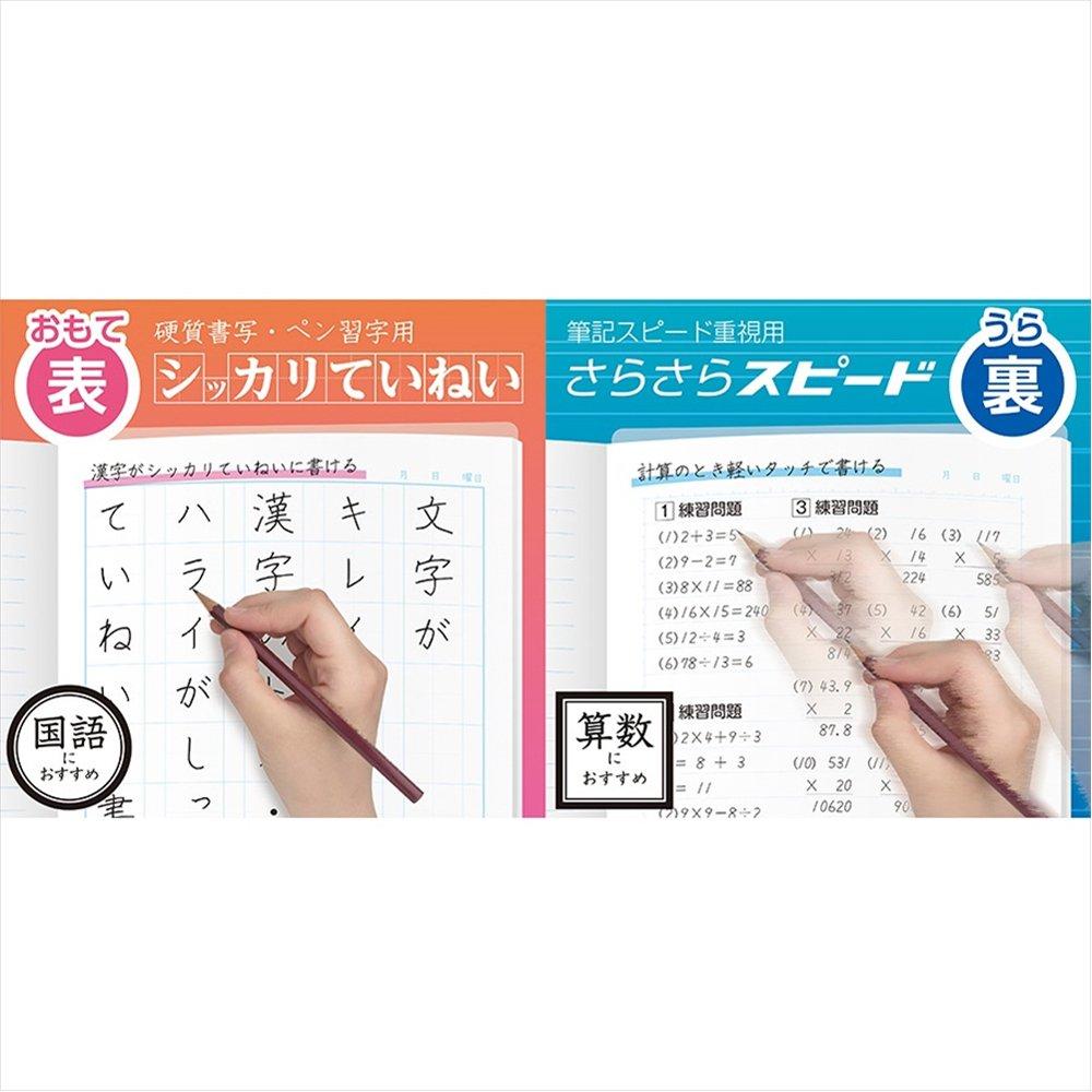 Sonic Underlay A4 Soft Kata You Can Switch the Writing Comfort On the Front and Back Transparent Sides, SK-4092-T