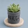 Yousheng Mini Roman Column Planter, Vintage Embossed Flower Pot, Small Greek Pillar Shaped Plant Container for Indoor Outdoor, Home Garden Decor