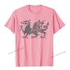 Welsh Flag Heraldry Dragon Welsh Soccer St Davids Day Wales TShirt Camisas Unisex 3D Printed Top TShirts For Adult Tops Tees