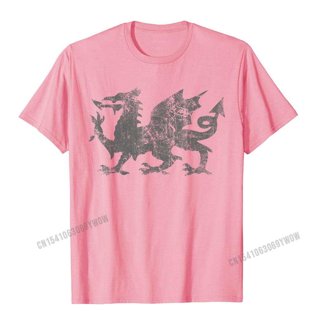 Welsh Flag Heraldry Dragon Welsh Soccer St Davids Day Wales TShirt Camisas Unisex 3D Printed Top TShirts For Adult Tops Tees