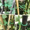 100 Stück Pflanzenbefestigungsclip, Einfacher Kunststoff Pflanzenkletterwand Befestigungsclip Für Garten, Außenbereich