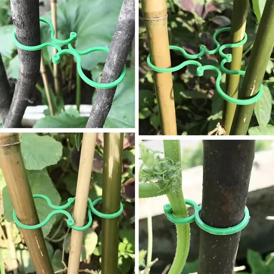 100 Stück Pflanzenbefestigungsclip, Einfacher Kunststoff Pflanzenkletterwand Befestigungsclip Für Garten, Außenbereich