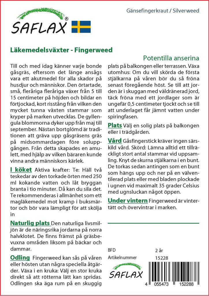 SAFLAX Garden In the Bag - Silverweed - 20 Seeds - With Substrate In a Fitting Stand Up Bag - Potentilla Anserina