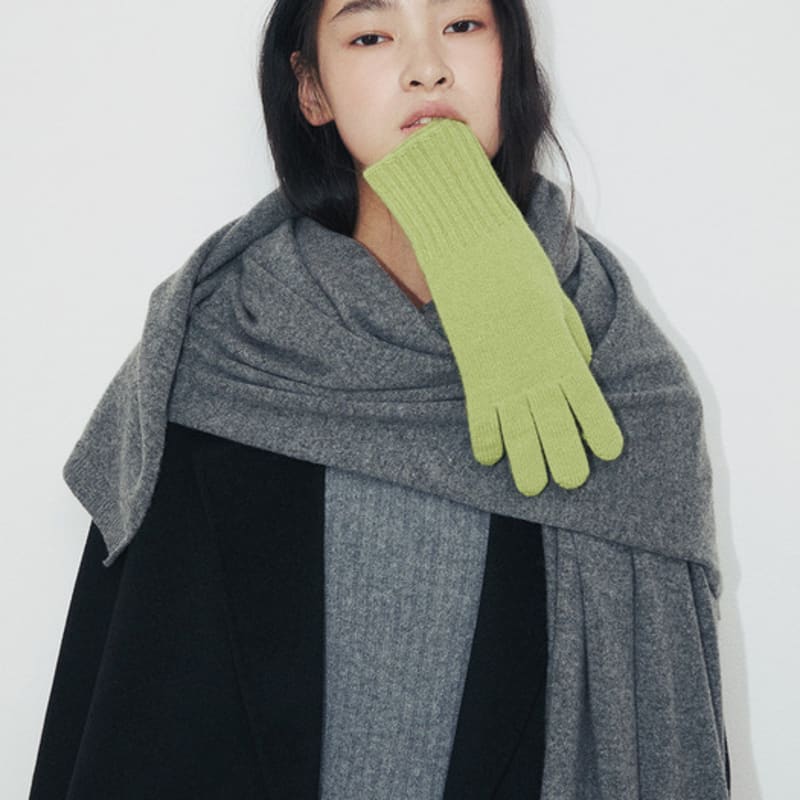 LE CASHMERE Cashmere Basic Gloves (Light Green) D7HAW25001GRL