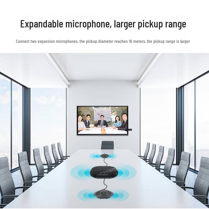 DAIPU DP-M220W-EX Wireless Conference Microphone (CN version)