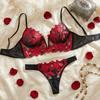 Dámská krajková výšivka Lingerie Set Měkká síťovaná podprsenka s kosticemi a kalhotky s nastavitelnými ramínky Podprsenka s kosticemi Push-Up s ramínky Síťované kalhotky pro ženy