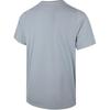 Asics D.Fresh 2.0 Running Crew Neck Short Sleeve T-Shirt Men Tops 2011D466-400