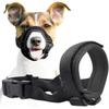 Cães – Produtos para treino de animais