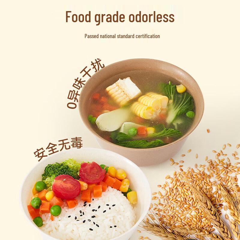 Rice Husk Disposable Picnic Dining Set