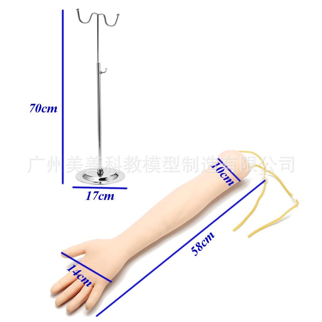 Intramuscular Injection & Phlebotomy Training Arm Model for Nurses