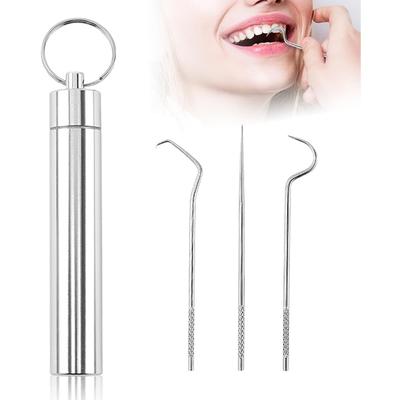 Zahnstocher-Set aus Edelstahl, wiederverwendbarer tragbarer Zahnstocher aus Metall mit Halter, Mehrzweck-Zahnreiniger-Werkzeug, Zahnstocher