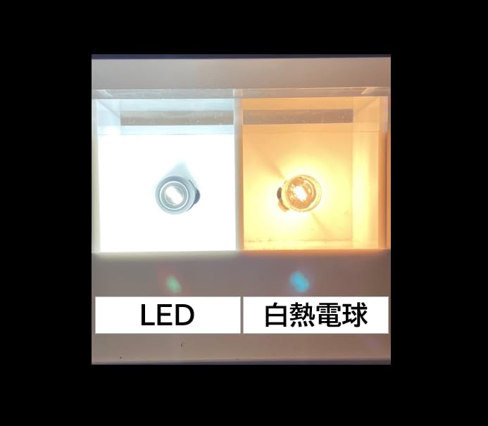Nissei Kogyo Polarg LED PREMIUM Back Lamp JB161 P3866W T16