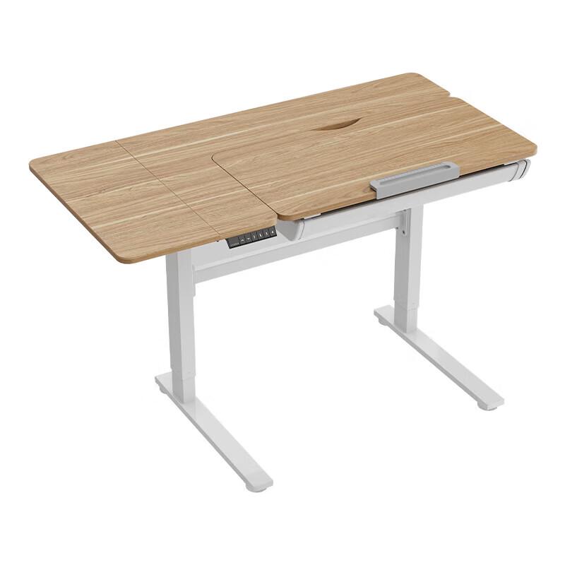 Loctek Electric Standing Desk