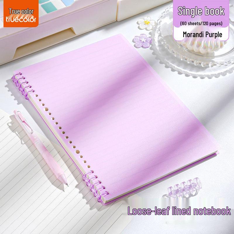 B5 Vintage High-Value Notebook for Students - A5, Extra Thick, Detachable, Gentle On Hands