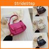 Stylish Fashionable Women's Handbag 2022 New Trendy Spring Summer Pu Leather Bag