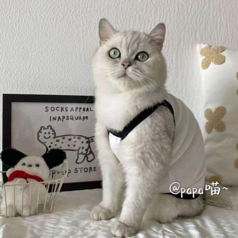 

Autumn and winter handsome cute pattern suspenders base teddy bear small dog suspenders cat dog clothes XL chest 50 back 40 about 10-6.5 kg