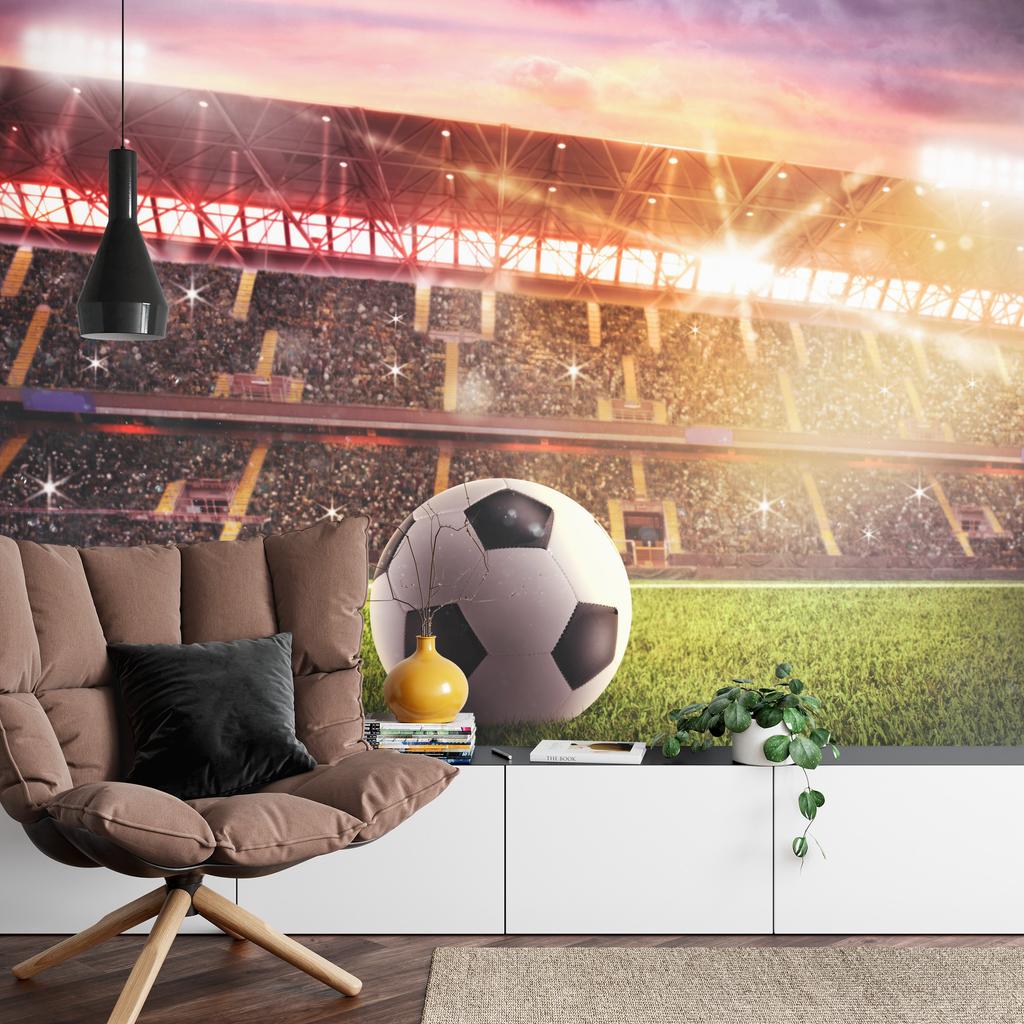 Photomural Soccer Ball In The Stadium Self-Adhesive Mural 312x219