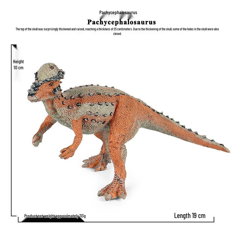 Solid Stygimoloch Pachycephalosaurus Dinosaur Model Toy for Kids