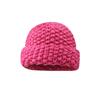 Color versatile thick thread knitted pineapple pattern wool hat women's autumn and winter thickened warm face small knitted hat
