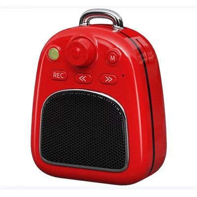 Newsmy DP06 Portable Retro Bluetooth Speaker CN Plug (adapter Included)
