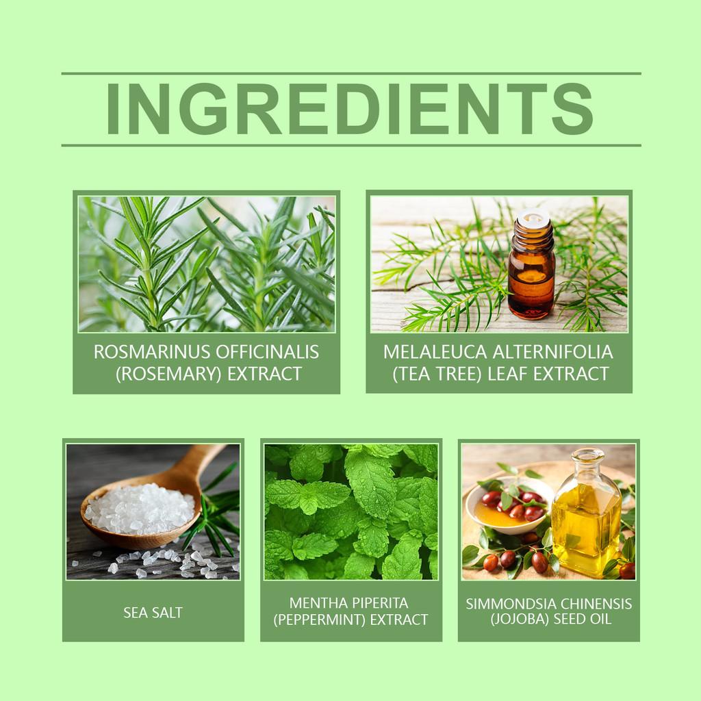 Hoegoa Rosemary Hair Scrub Gentle Nourishing Treatment For Strong And Healthy Hair