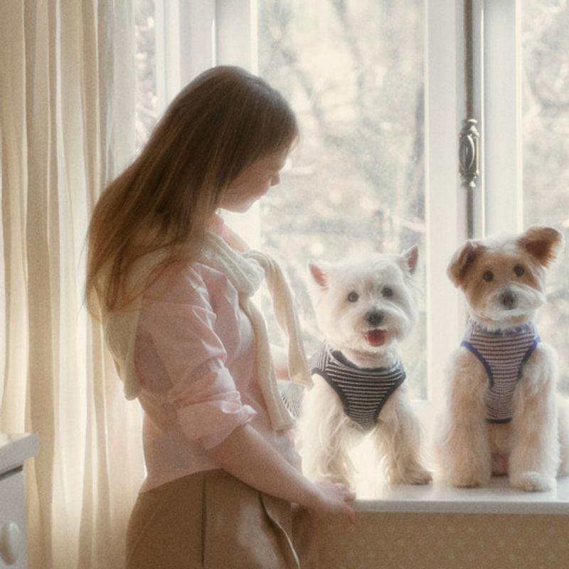 T-shirt rayé Union CROOKTHECHIHUAHUA (2color)