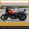 Rear Low-Profile Short Tail Wing for Qianjiang QJ Shan 150/250/350 Motorcycles