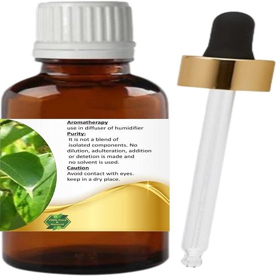 Levenmooi Ravintsara  (Cinnamomum camphora) Pure & Natural Therapeutic Grade Essential Oil Glass