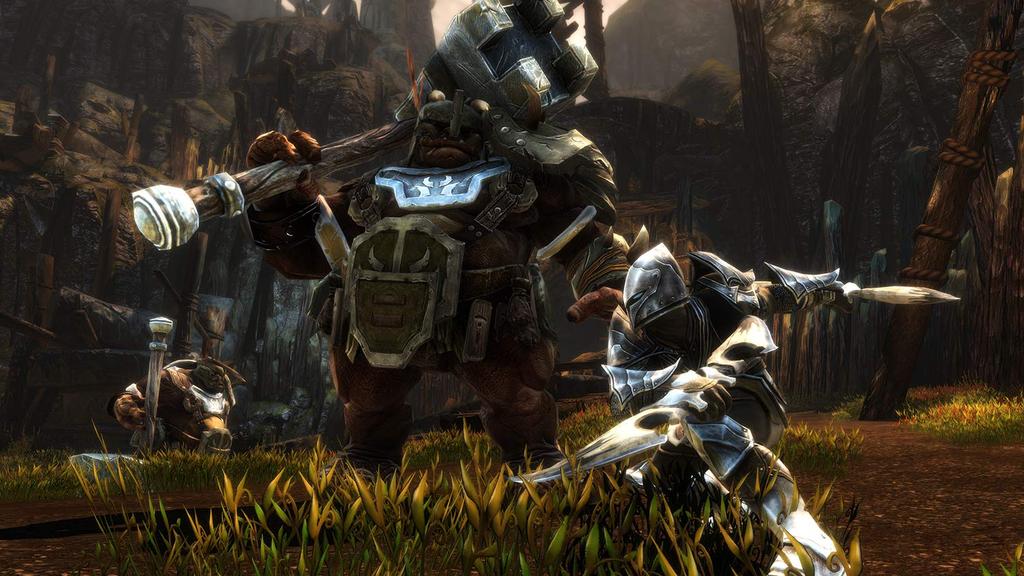 Kingdoms of Amalur North Switch-Neuauflage (Importierte Version Amerika) –