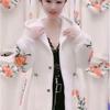 Women's Winter Faux Mink Jacket Women's Mid-Length Jacket Hooded Loose Large Size Coat