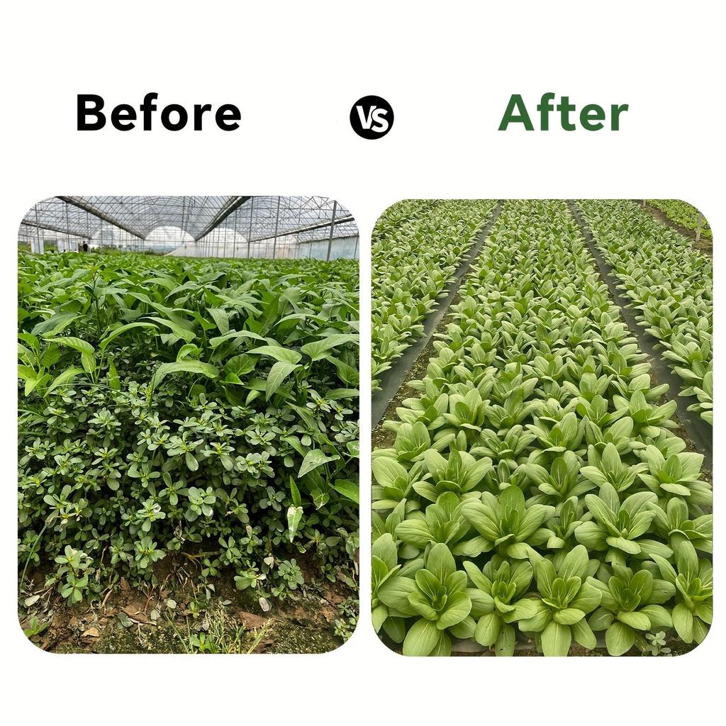 Tessuto Barriera Anti-Erbe Infestanti Perforato Resistente Ideale per Giardino, Orto, Frutteto e Cortile - Sopprime le Erbacce, Traspirante, Permeabile all'Acqua