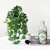 Handmade Artificial Copper Coin Grass Plants Soft Mini Bouquet Fake Ivy Leaf Leaves  Office