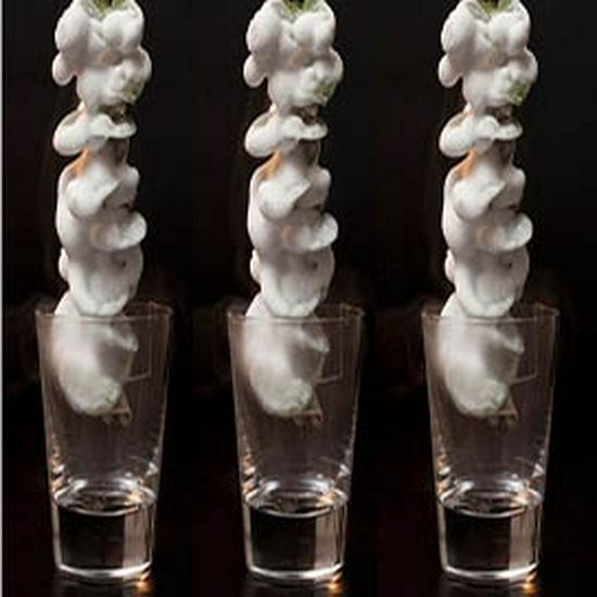 Stainless Steel Siphon Bottle for Hot & Cold, All-Metal Pot for Molecular Gastronomy Tools and Accessories
