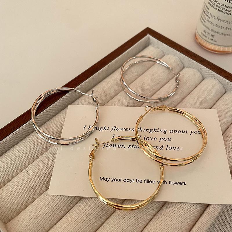 Elegant High-End Hoop Earrings for Women – Fashionable, Lightweight, and Perfect for Larger Faces