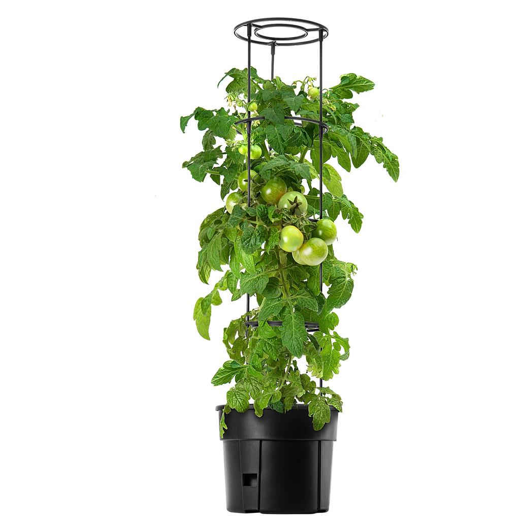 KADAX Doniczka Do Uprawy Pomidorów Na Pomidory 12L